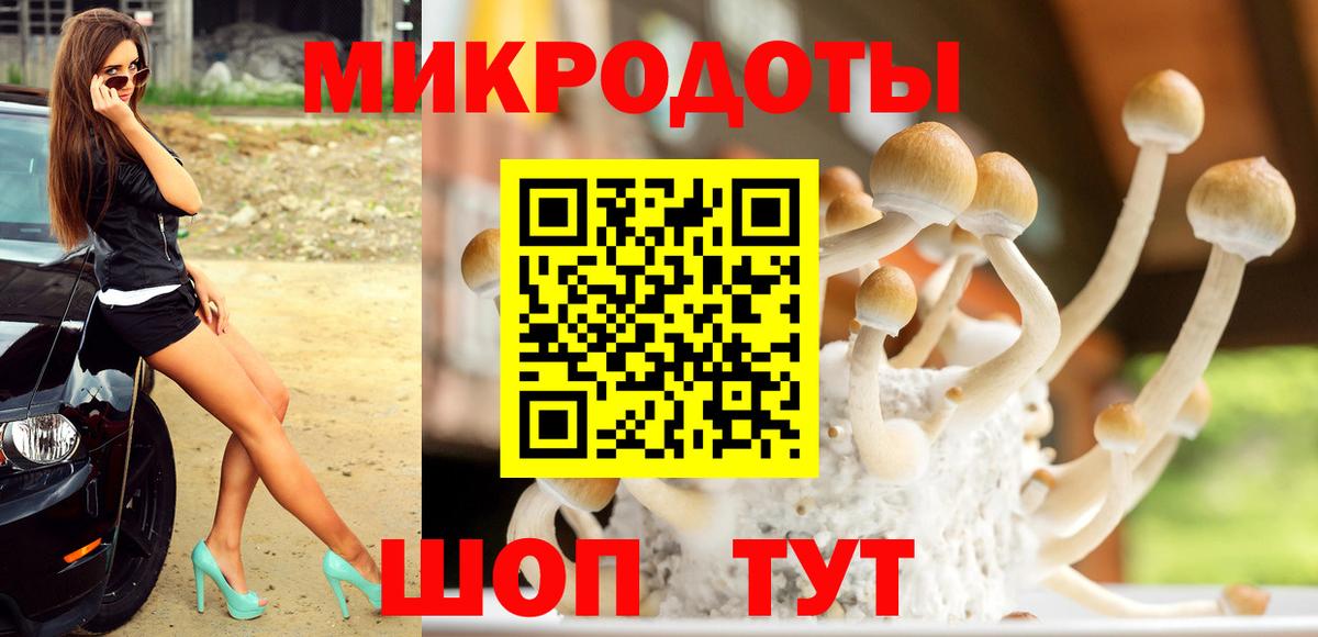 Печора  Псилоцибиновые грибы прущие грибы  закладка  Вход с VPN 